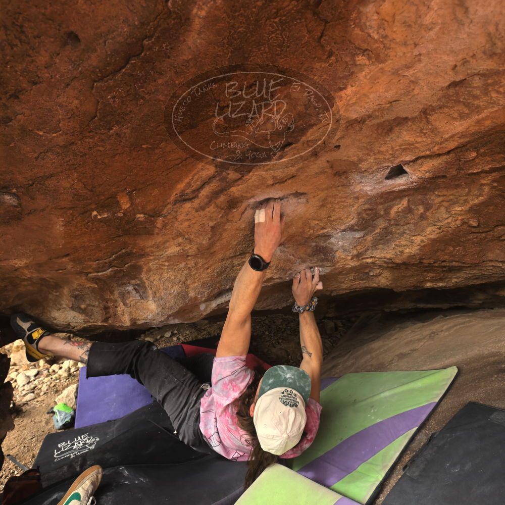 

Filename: SRM_20260104_1317340.jpg
Aperture: f/5.6
Shutter Speed: 1/500
Body: Canon EOS R6
Lens: Canon EF 16-35mm f/2.8 L