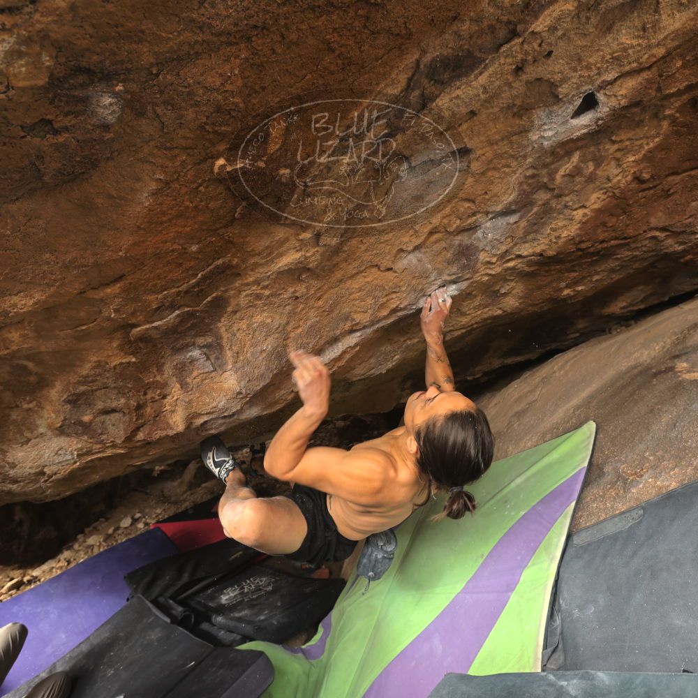 

Filename: SRM_20260104_1327310.jpg
Aperture: f/5.6
Shutter Speed: 1/320
Body: Canon EOS R6
Lens: Canon EF 16-35mm f/2.8 L