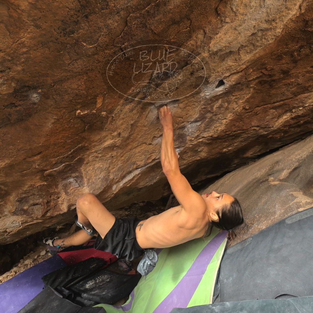 

Filename: SRM_20260104_1327350.jpg
Aperture: f/5.6
Shutter Speed: 1/320
Body: Canon EOS R6
Lens: Canon EF 16-35mm f/2.8 L