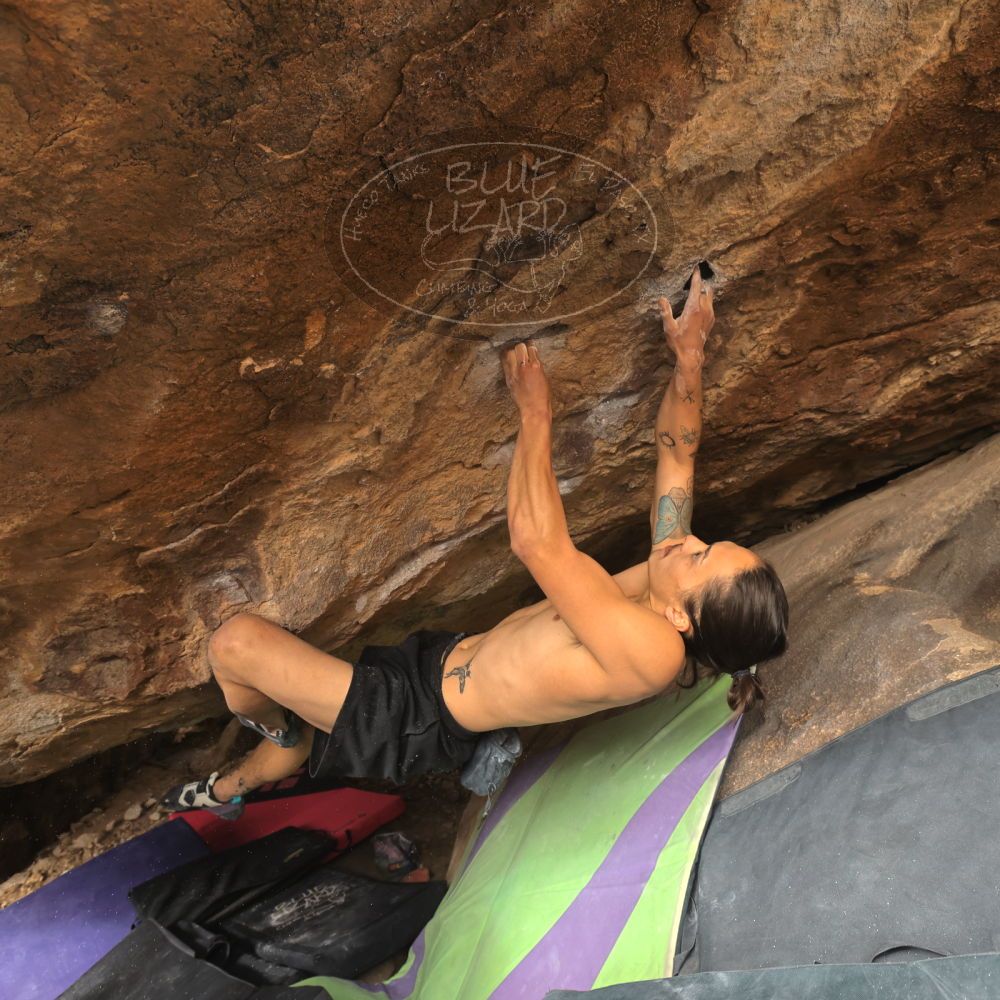 

Filename: SRM_20260104_1327360.jpg
Aperture: f/5.6
Shutter Speed: 1/320
Body: Canon EOS R6
Lens: Canon EF 16-35mm f/2.8 L