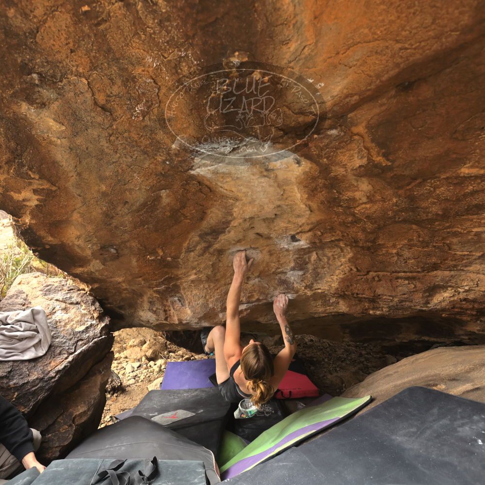 

Filename: SRM_20260104_1338190.jpg
Aperture: f/5.6
Shutter Speed: 1/320
Body: Canon EOS R6
Lens: Canon EF 16-35mm f/2.8 L