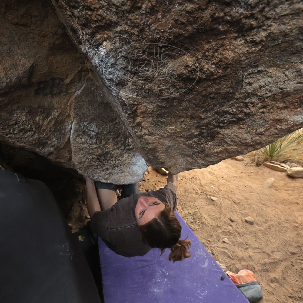 

Filename: SRM_20260104_1620200.jpg
Aperture: f/5.6
Shutter Speed: 1/400
Body: Canon EOS R6
Lens: Canon EF 16-35mm f/2.8 L