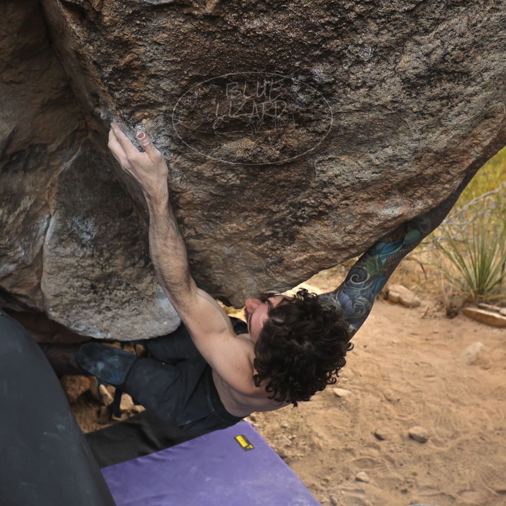 

Filename: SRM_20260104_1638380.jpg
Aperture: f/5.6
Shutter Speed: 1/320
Body: Canon EOS R6
Lens: Canon EF 16-35mm f/2.8 L