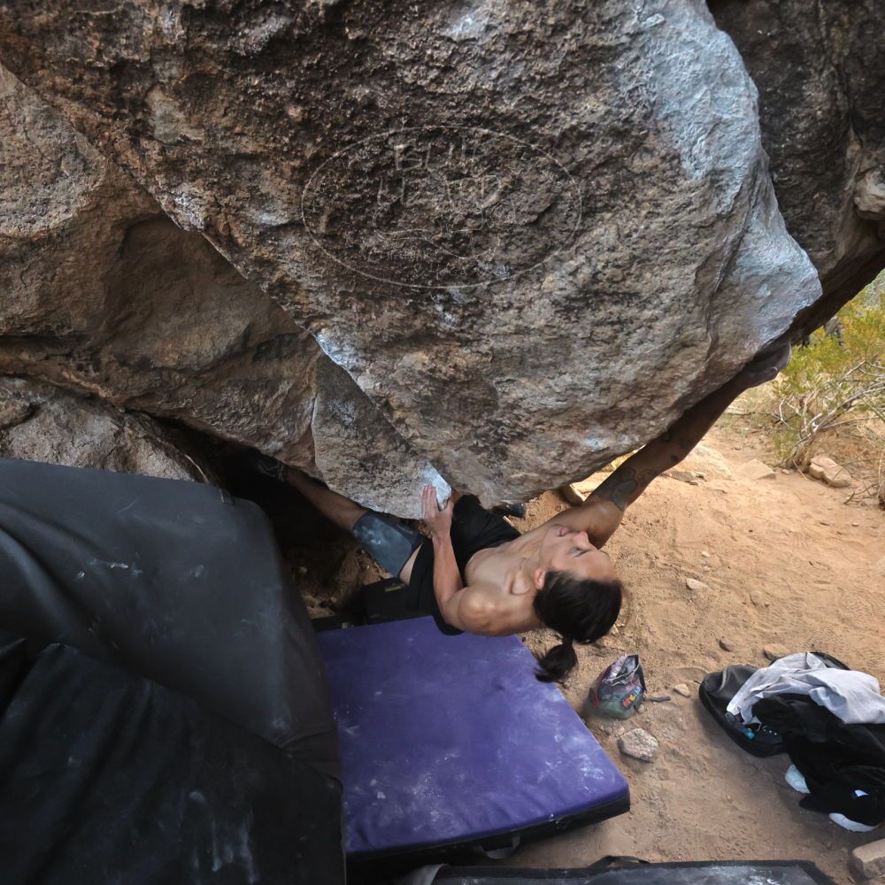 

Filename: SRM_20260104_1653060.jpg
Aperture: f/5.6
Shutter Speed: 1/320
Body: Canon EOS R6
Lens: Canon EF 16-35mm f/2.8 L