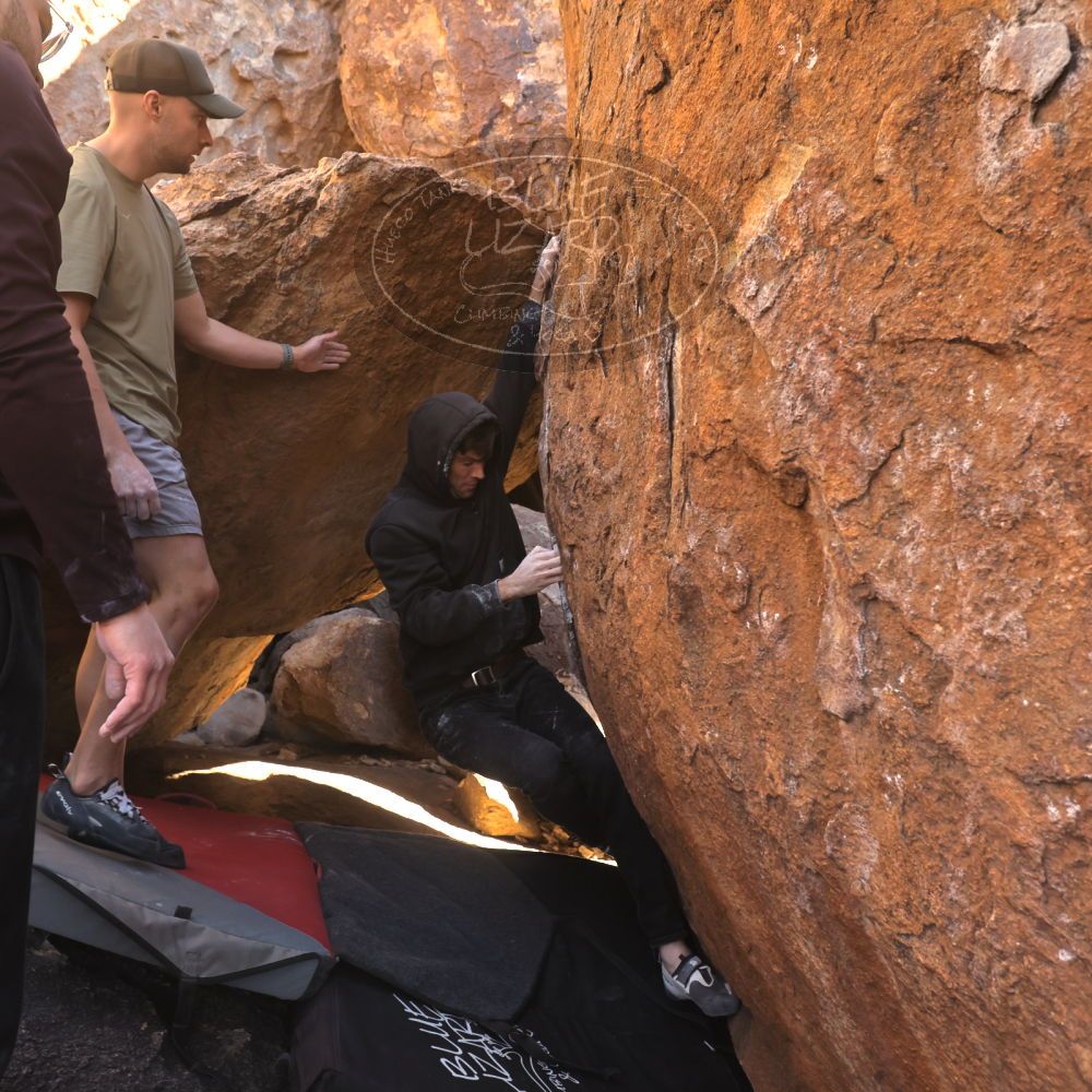 

Filename: SRM_20260117_1015390.jpg
Aperture: f/5.6
Shutter Speed: 1/320
Body: Canon EOS R6
Lens: Canon EF 16-35mm f/2.8 L