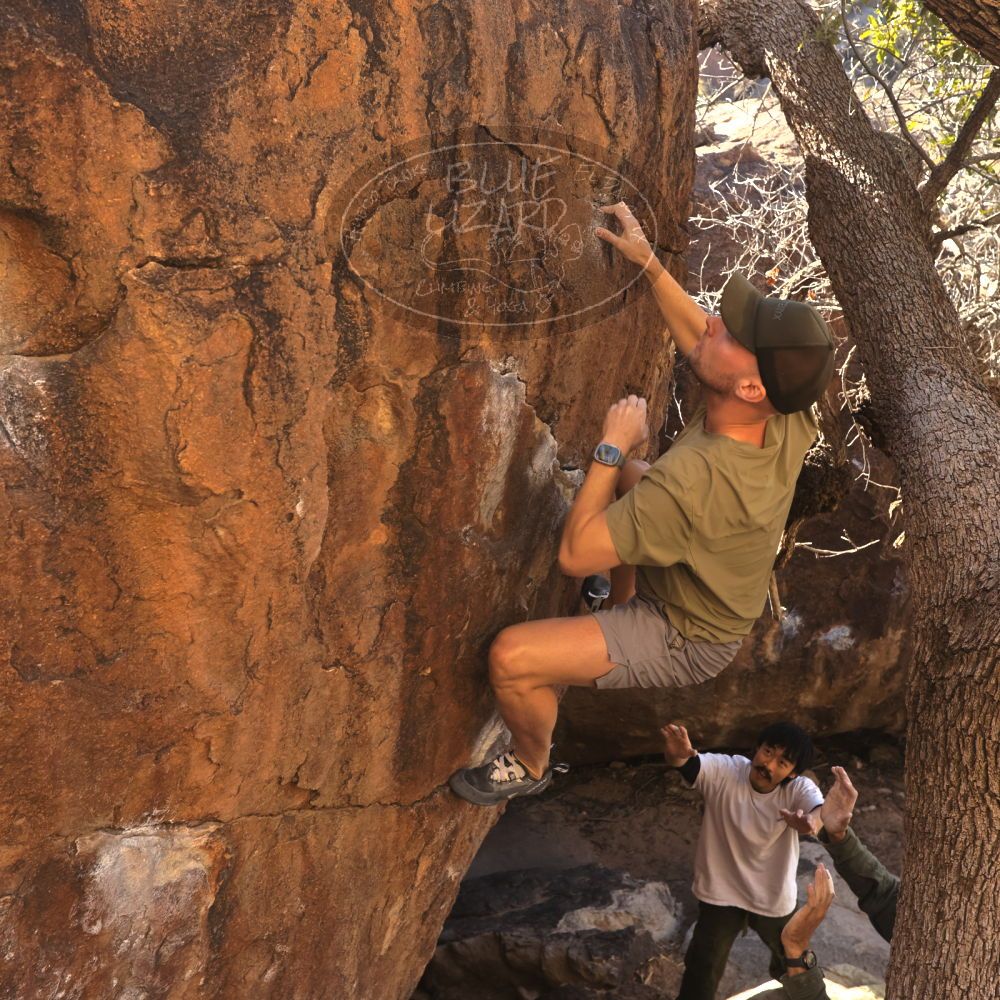 

Filename: SRM_20260117_1038040.jpg
Aperture: f/5.6
Shutter Speed: 1/320
Body: Canon EOS R6
Lens: Canon EF 16-35mm f/2.8 L