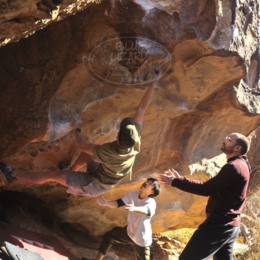 

Filename: SRM_20260117_1105080.jpg
Aperture: f/5.6
Shutter Speed: 1/500
Body: Canon EOS R6
Lens: Canon EF 16-35mm f/2.8 L