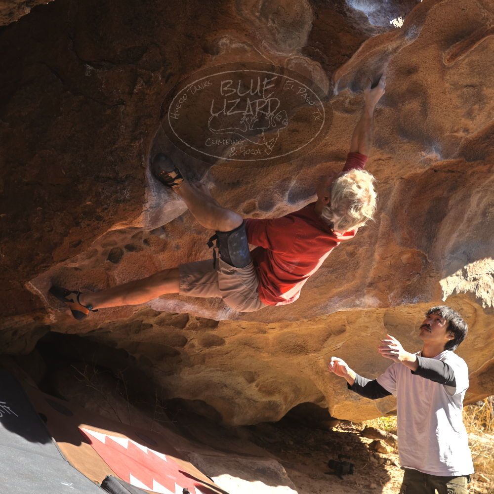 

Filename: SRM_20260117_1127000.jpg
Aperture: f/5.6
Shutter Speed: 1/500
Body: Canon EOS R6
Lens: Canon EF 16-35mm f/2.8 L