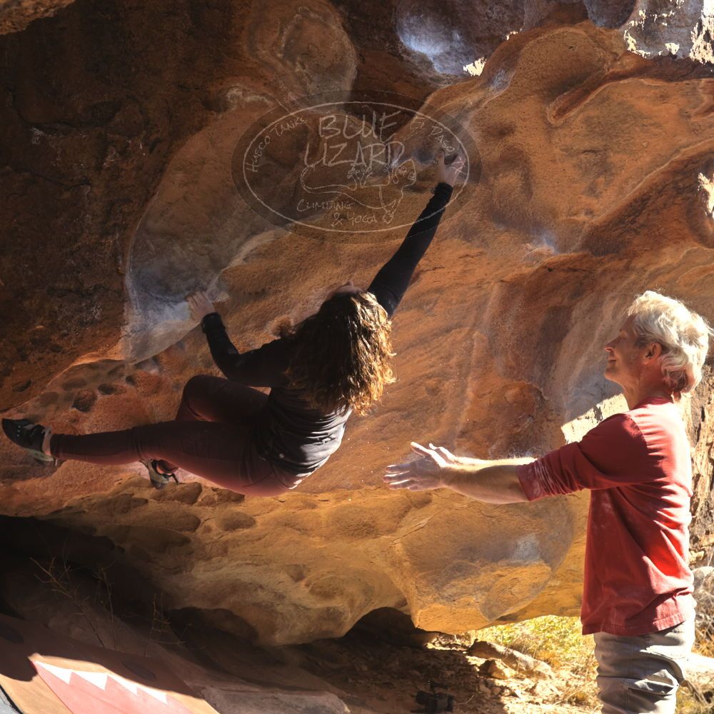 

Filename: SRM_20260117_1128410.jpg
Aperture: f/5.6
Shutter Speed: 1/500
Body: Canon EOS R6
Lens: Canon EF 16-35mm f/2.8 L