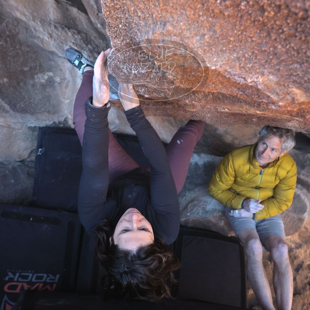 

Filename: SRM_20260117_1417230.jpg
Aperture: f/5.6
Shutter Speed: 1/500
Body: Canon EOS R6
Lens: Canon EF 16-35mm f/2.8 L