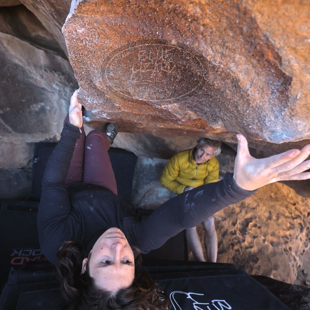 

Filename: SRM_20260117_1417270.jpg
Aperture: f/5.6
Shutter Speed: 1/500
Body: Canon EOS R6
Lens: Canon EF 16-35mm f/2.8 L