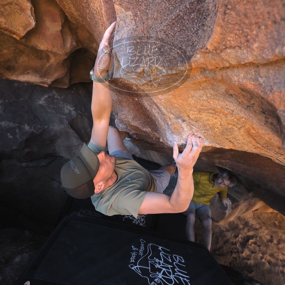 

Filename: SRM_20260117_1418251.jpg
Aperture: f/5.6
Shutter Speed: 1/500
Body: Canon EOS R6
Lens: Canon EF 16-35mm f/2.8 L