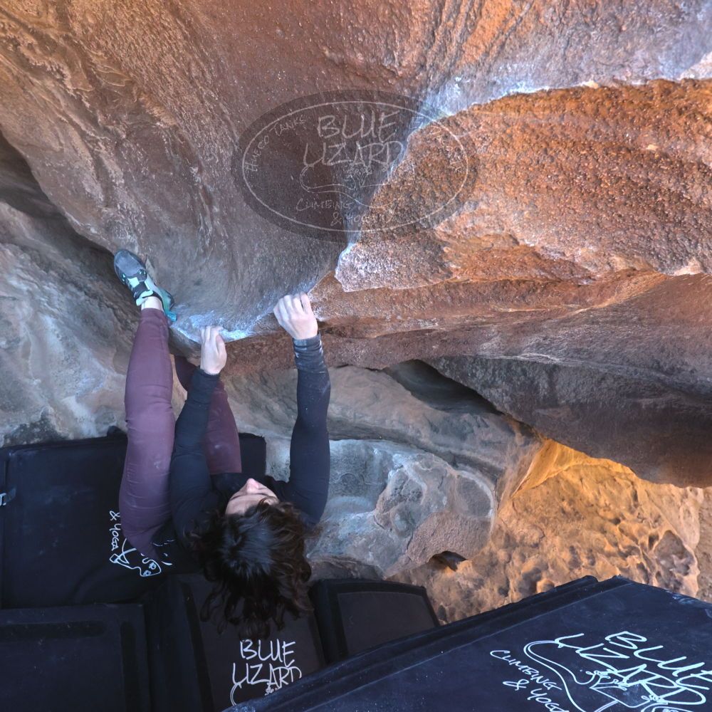 

Filename: SRM_20260117_1451250.jpg
Aperture: f/5.6
Shutter Speed: 1/640
Body: Canon EOS R6
Lens: Canon EF 16-35mm f/2.8 L