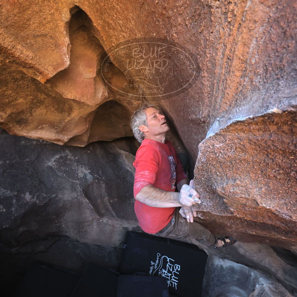 

Filename: SRM_20260117_1458470.jpg
Aperture: f/5.6
Shutter Speed: 1/640
Body: Canon EOS R6
Lens: Canon EF 16-35mm f/2.8 L