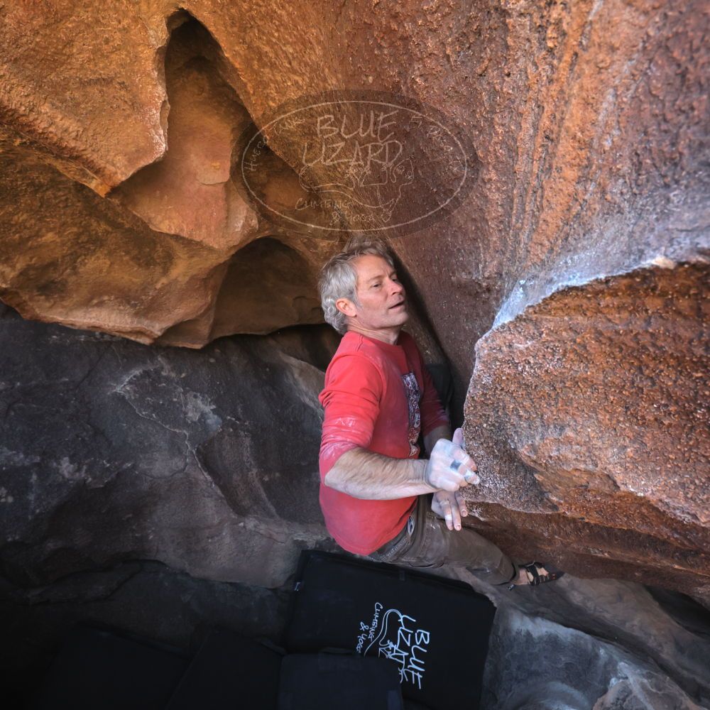 

Filename: SRM_20260117_1458471.jpg
Aperture: f/5.6
Shutter Speed: 1/640
Body: Canon EOS R6
Lens: Canon EF 16-35mm f/2.8 L