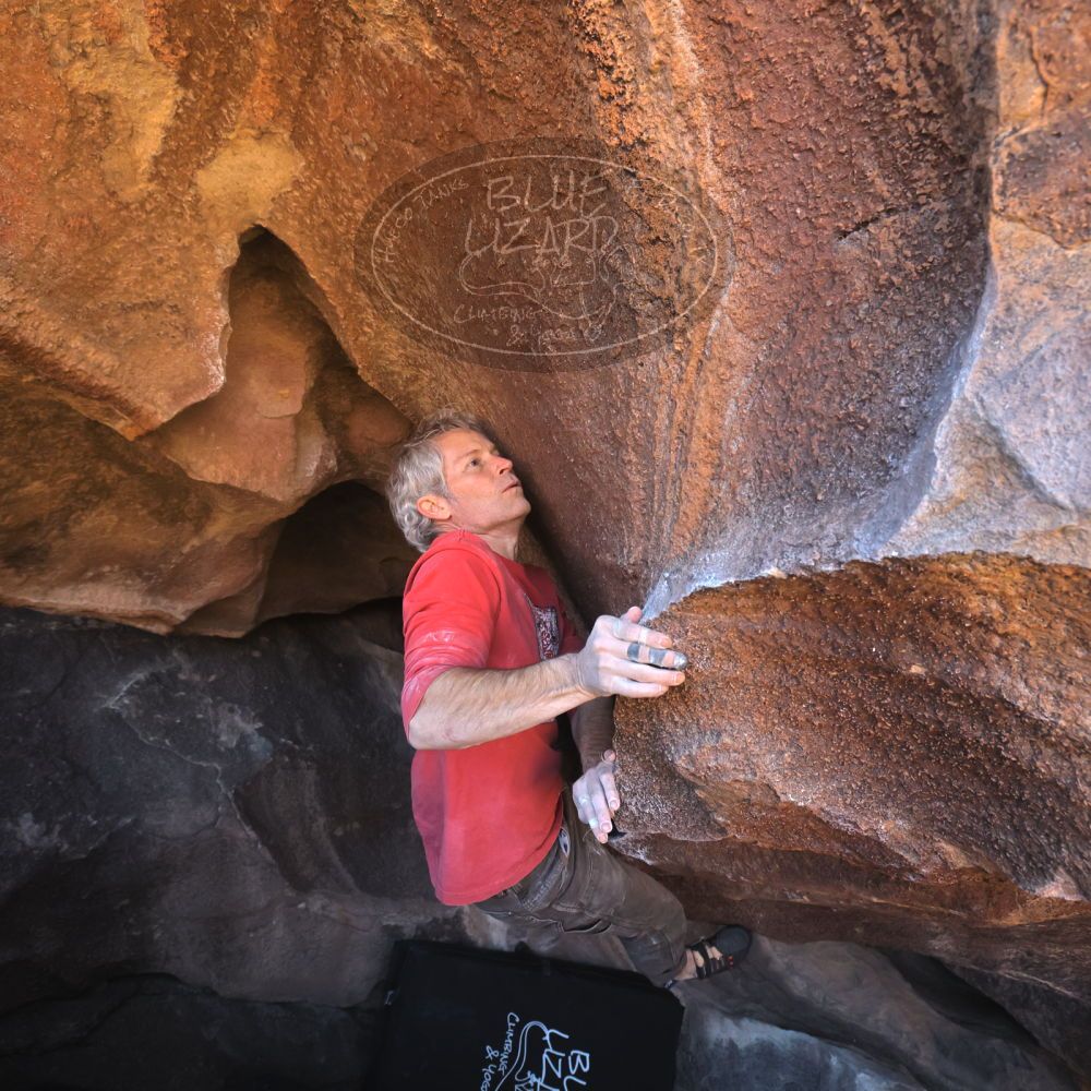 

Filename: SRM_20260117_1501160.jpg
Aperture: f/5.6
Shutter Speed: 1/640
Body: Canon EOS R6
Lens: Canon EF 16-35mm f/2.8 L