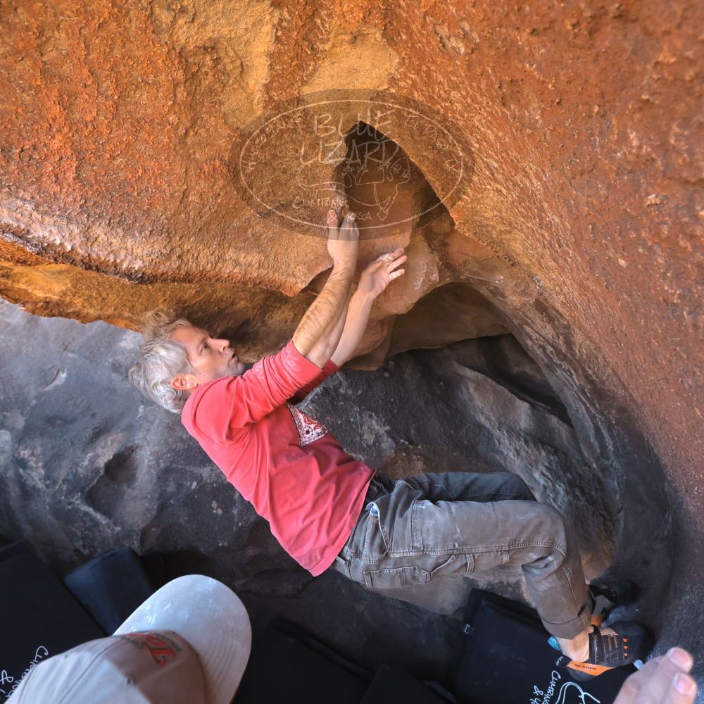 

Filename: SRM_20260117_1501280.jpg
Aperture: f/5.6
Shutter Speed: 1/640
Body: Canon EOS R6
Lens: Canon EF 16-35mm f/2.8 L