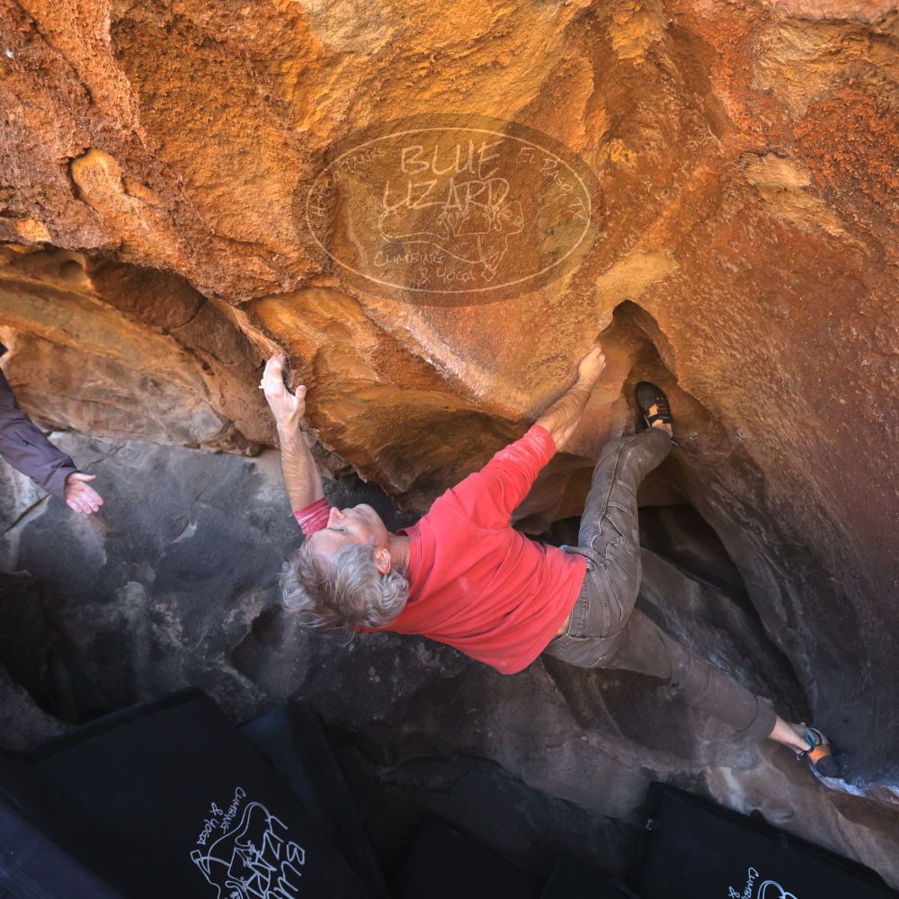 

Filename: SRM_20260117_1501410.jpg
Aperture: f/5.6
Shutter Speed: 1/640
Body: Canon EOS R6
Lens: Canon EF 16-35mm f/2.8 L