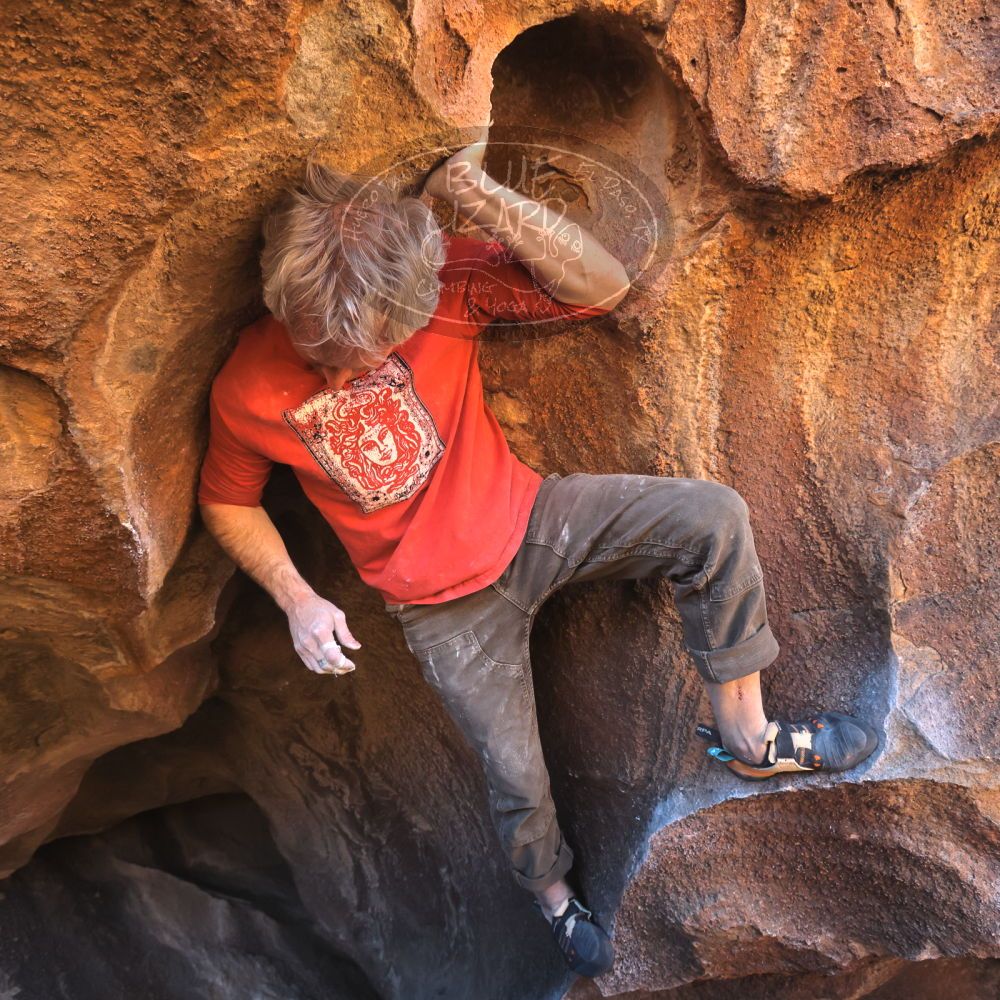 

Filename: SRM_20260117_1513230.jpg
Aperture: f/5.6
Shutter Speed: 1/640
Body: Canon EOS R6
Lens: Canon EF 16-35mm f/2.8 L