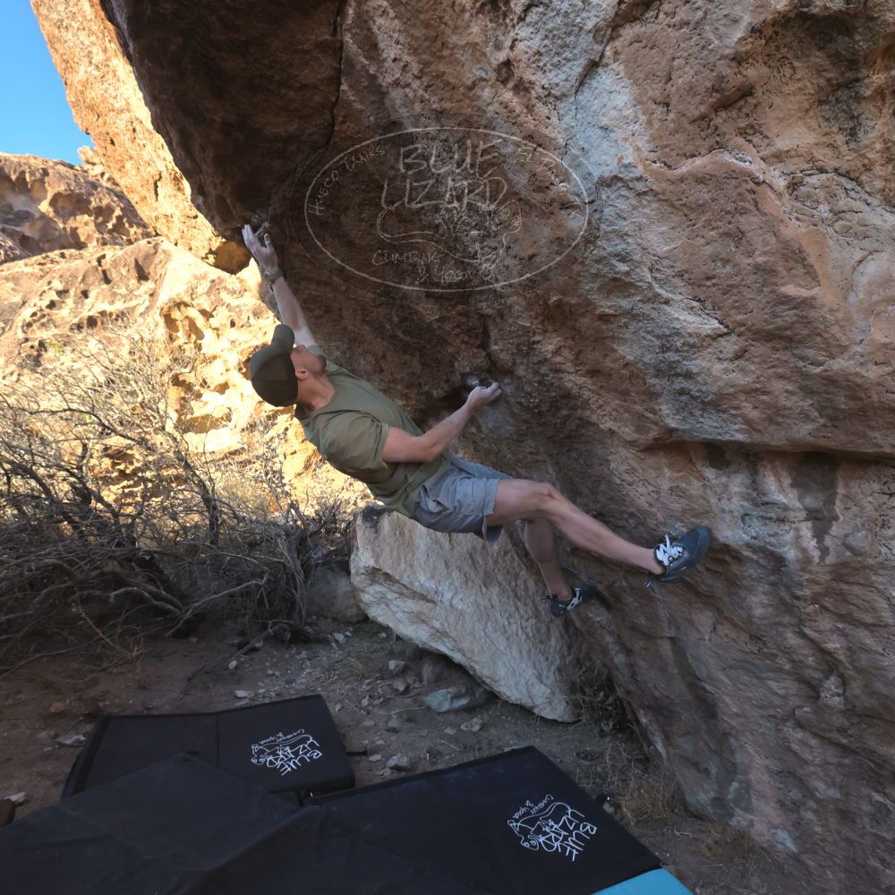 

Filename: SRM_20260117_1632590.jpg
Aperture: f/8.0
Shutter Speed: 1/1000
Body: Canon EOS R6
Lens: Canon EF 16-35mm f/2.8 L