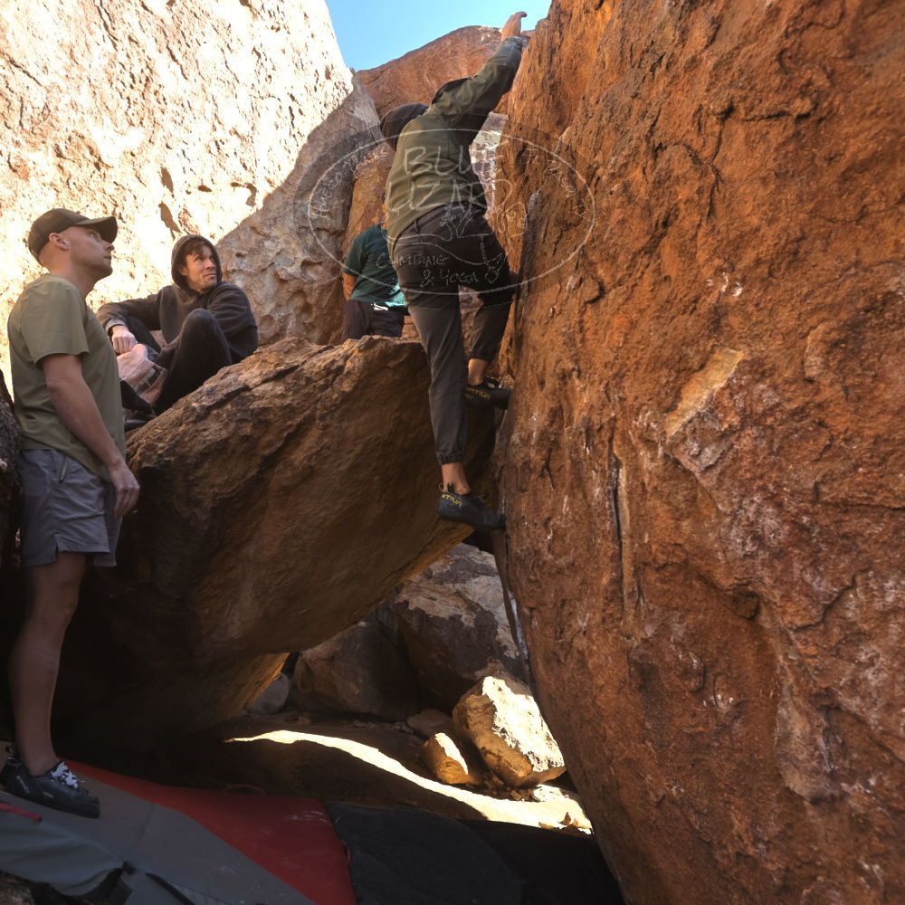 

Filename: SRM_20260117_1017510.jpg
Aperture: f/5.6
Shutter Speed: 1/320
Body: Canon EOS R6
Lens: Canon EF 16-35mm f/2.8 L