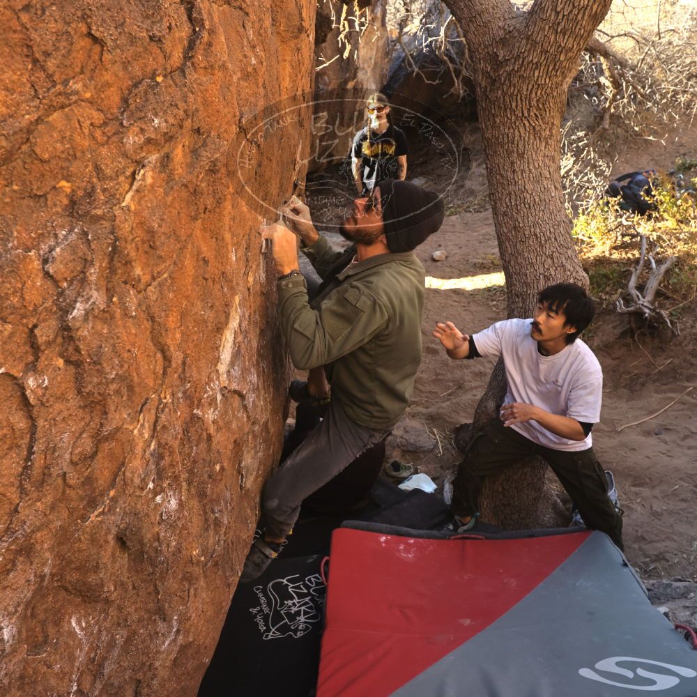 

Filename: SRM_20260117_1024430.jpg
Aperture: f/5.6
Shutter Speed: 1/320
Body: Canon EOS R6
Lens: Canon EF 16-35mm f/2.8 L