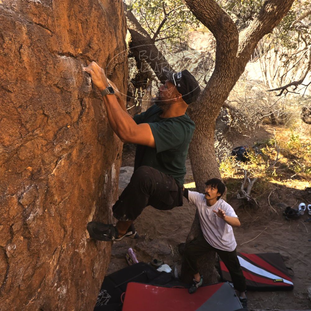 

Filename: SRM_20260117_1026190.jpg
Aperture: f/5.6
Shutter Speed: 1/320
Body: Canon EOS R6
Lens: Canon EF 16-35mm f/2.8 L