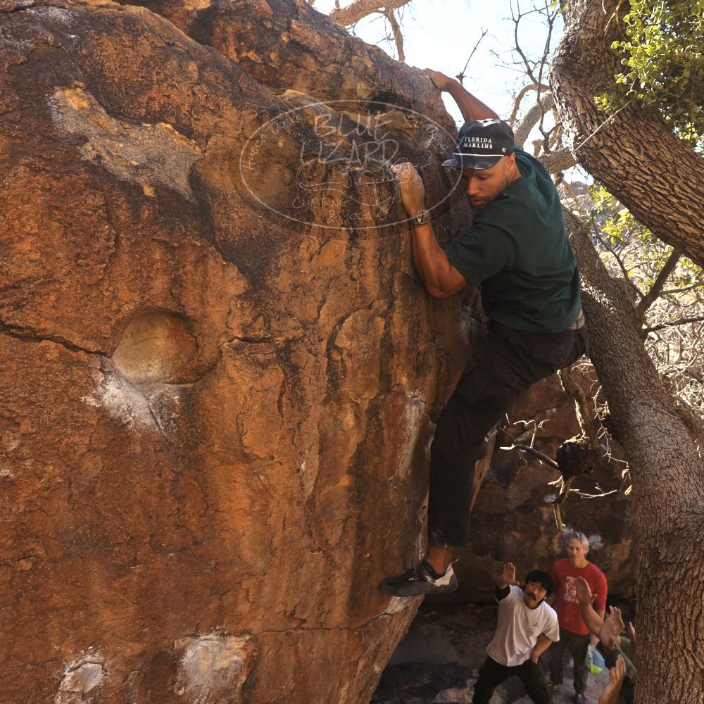 

Filename: SRM_20260117_1036120.jpg
Aperture: f/5.6
Shutter Speed: 1/320
Body: Canon EOS R6
Lens: Canon EF 16-35mm f/2.8 L