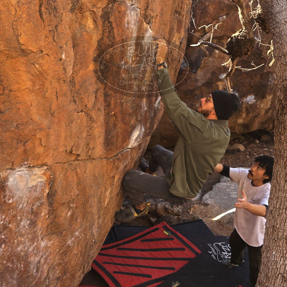 

Filename: SRM_20260117_1038300.jpg
Aperture: f/5.6
Shutter Speed: 1/320
Body: Canon EOS R6
Lens: Canon EF 16-35mm f/2.8 L