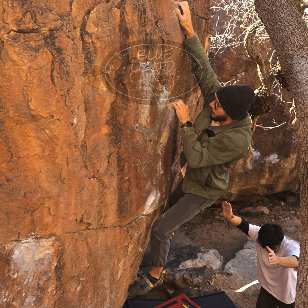 

Filename: SRM_20260117_1038320.jpg
Aperture: f/5.6
Shutter Speed: 1/320
Body: Canon EOS R6
Lens: Canon EF 16-35mm f/2.8 L