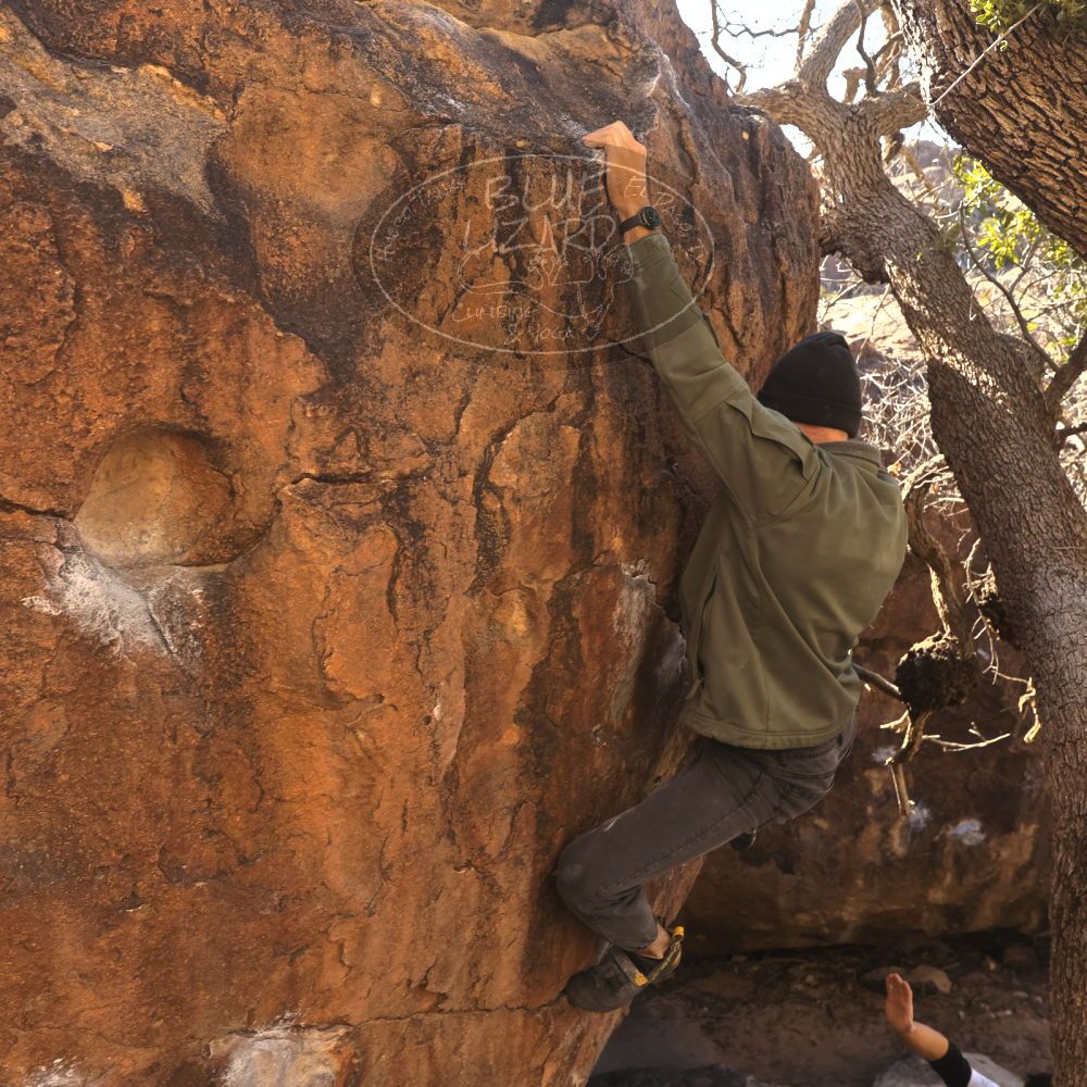 

Filename: SRM_20260117_1038410.jpg
Aperture: f/5.6
Shutter Speed: 1/320
Body: Canon EOS R6
Lens: Canon EF 16-35mm f/2.8 L