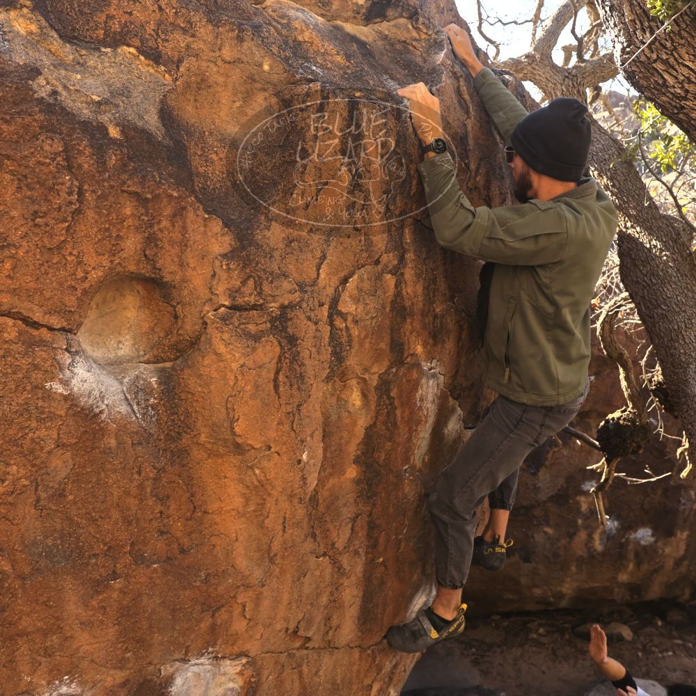 

Filename: SRM_20260117_1038440.jpg
Aperture: f/5.6
Shutter Speed: 1/320
Body: Canon EOS R6
Lens: Canon EF 16-35mm f/2.8 L