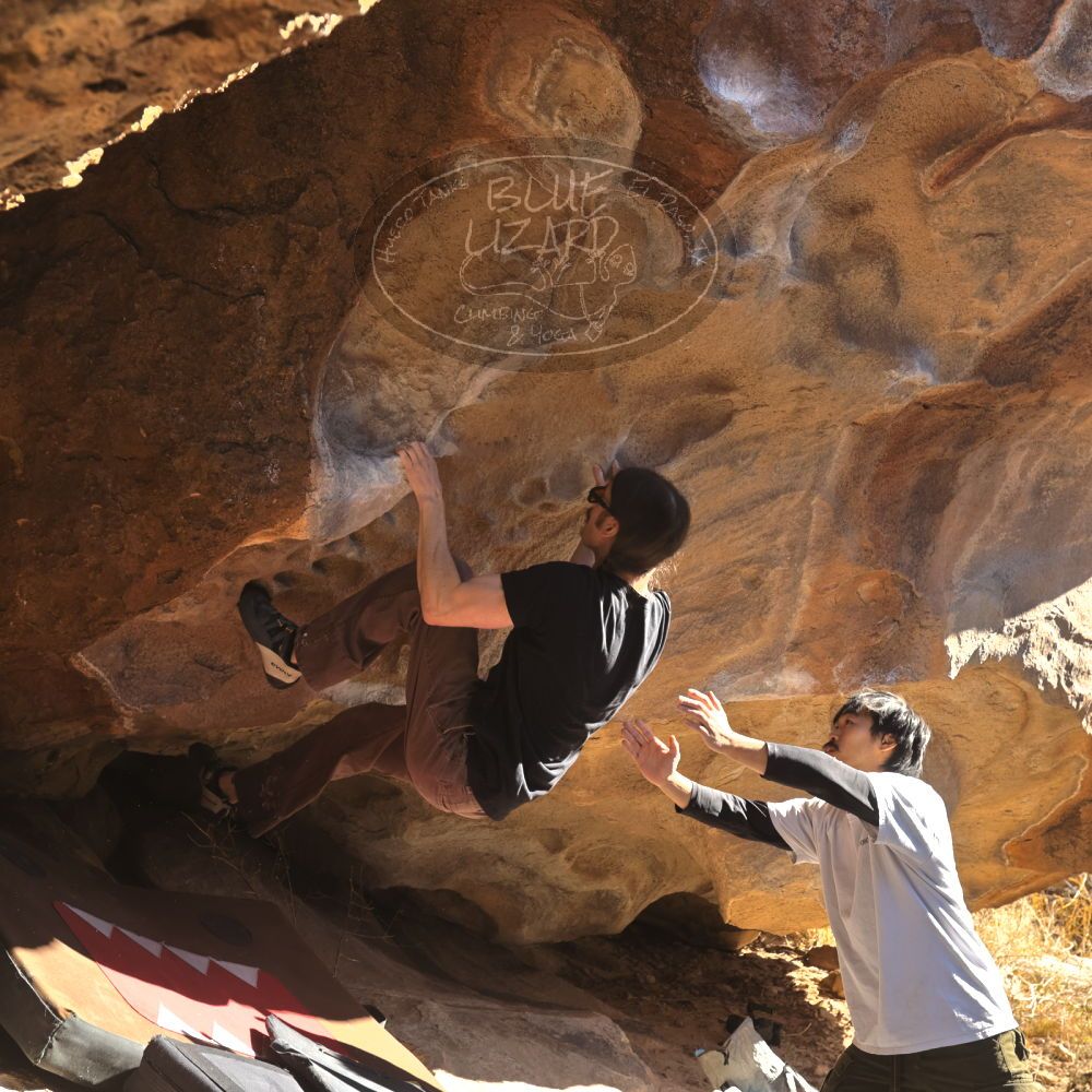 

Filename: SRM_20260117_1048500.jpg
Aperture: f/5.6
Shutter Speed: 1/320
Body: Canon EOS R6
Lens: Canon EF 16-35mm f/2.8 L