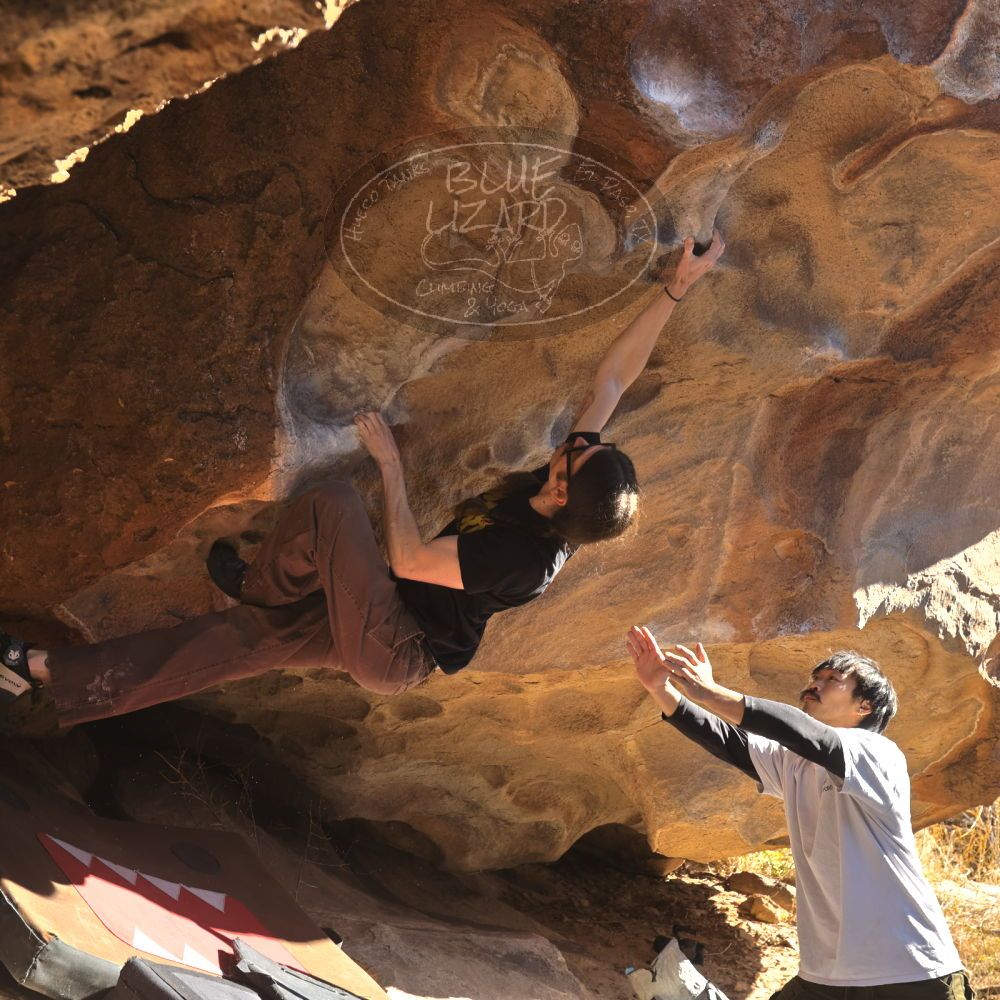 

Filename: SRM_20260117_1048520.jpg
Aperture: f/5.6
Shutter Speed: 1/320
Body: Canon EOS R6
Lens: Canon EF 16-35mm f/2.8 L