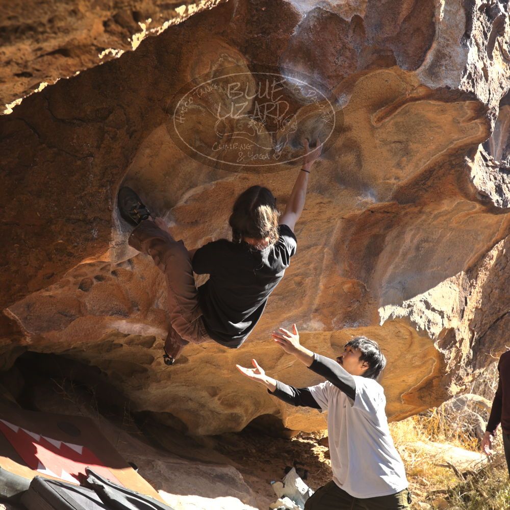 

Filename: SRM_20260117_1049000.jpg
Aperture: f/5.6
Shutter Speed: 1/320
Body: Canon EOS R6
Lens: Canon EF 16-35mm f/2.8 L