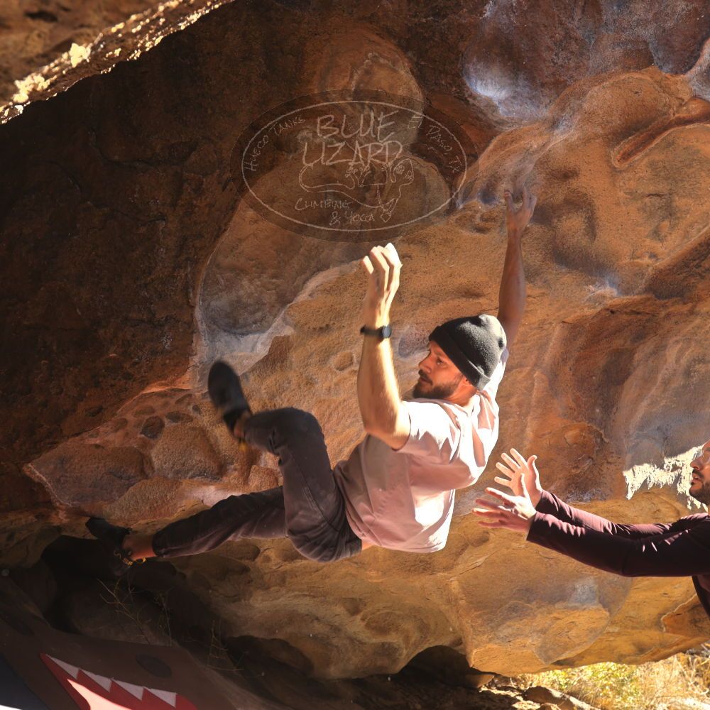 

Filename: SRM_20260117_1051450.jpg
Aperture: f/5.6
Shutter Speed: 1/320
Body: Canon EOS R6
Lens: Canon EF 16-35mm f/2.8 L