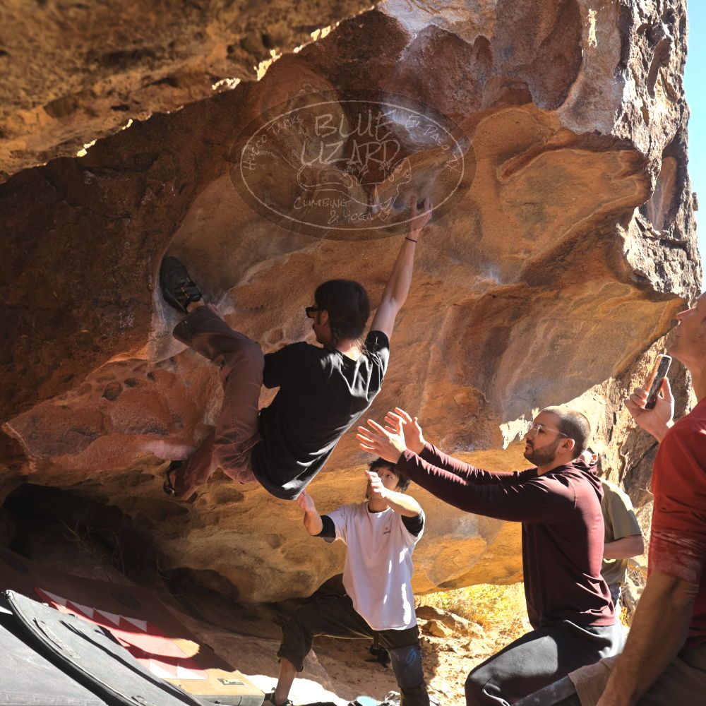 

Filename: SRM_20260117_1059010.jpg
Aperture: f/5.6
Shutter Speed: 1/320
Body: Canon EOS R6
Lens: Canon EF 16-35mm f/2.8 L