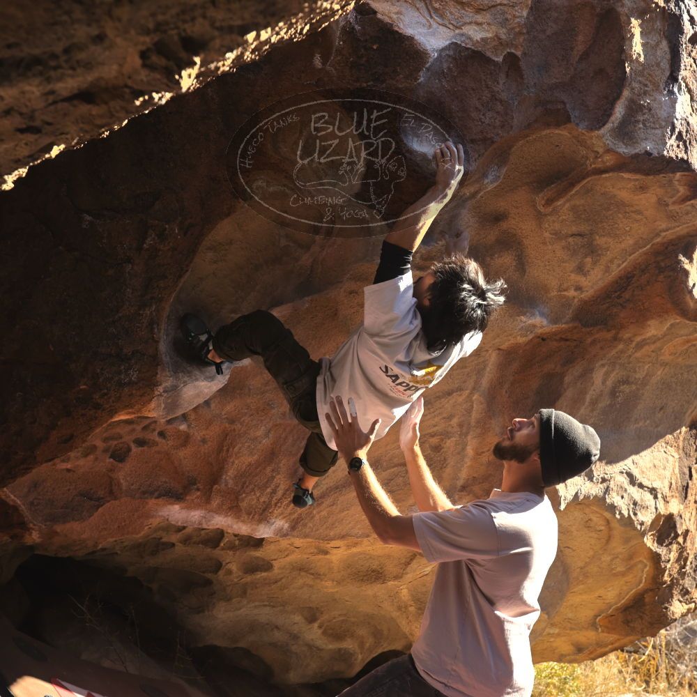 

Filename: SRM_20260117_1104170.jpg
Aperture: f/5.6
Shutter Speed: 1/500
Body: Canon EOS R6
Lens: Canon EF 16-35mm f/2.8 L