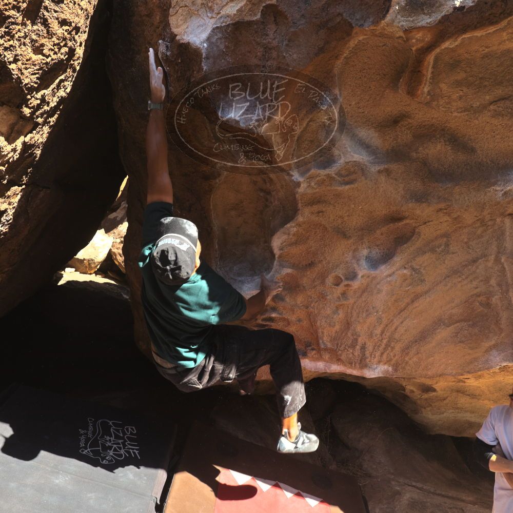 

Filename: SRM_20260117_1113230.jpg
Aperture: f/5.6
Shutter Speed: 1/500
Body: Canon EOS R6
Lens: Canon EF 16-35mm f/2.8 L