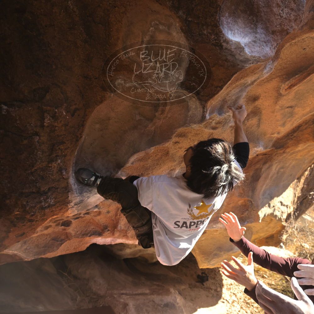 

Filename: SRM_20260117_1114150.jpg
Aperture: f/5.6
Shutter Speed: 1/500
Body: Canon EOS R6
Lens: Canon EF 16-35mm f/2.8 L