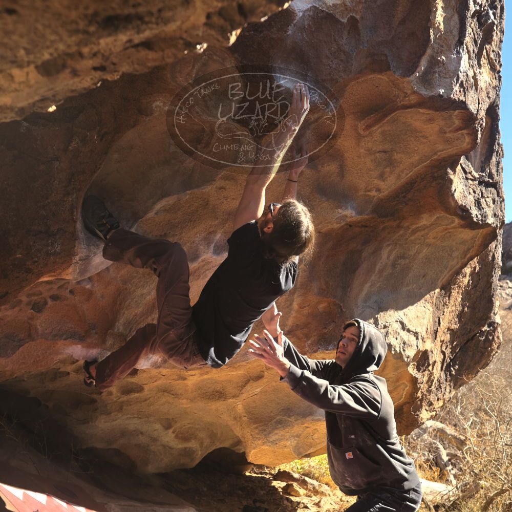 

Filename: SRM_20260117_1117150.jpg
Aperture: f/5.6
Shutter Speed: 1/500
Body: Canon EOS R6
Lens: Canon EF 16-35mm f/2.8 L