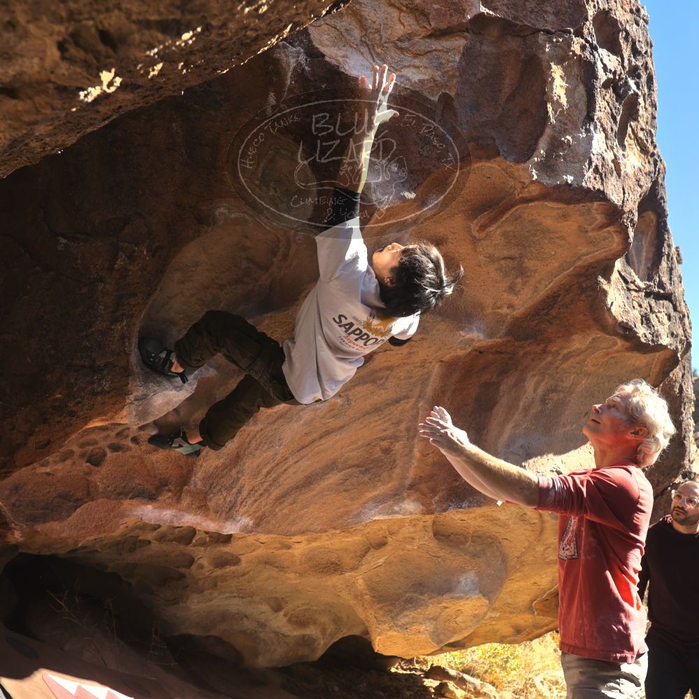 

Filename: SRM_20260117_1123480.jpg
Aperture: f/5.6
Shutter Speed: 1/500
Body: Canon EOS R6
Lens: Canon EF 16-35mm f/2.8 L