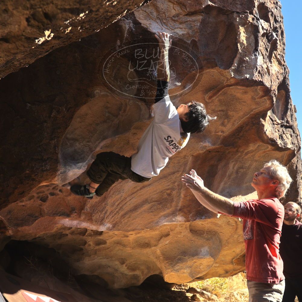 

Filename: SRM_20260117_1123482.jpg
Aperture: f/5.6
Shutter Speed: 1/500
Body: Canon EOS R6
Lens: Canon EF 16-35mm f/2.8 L