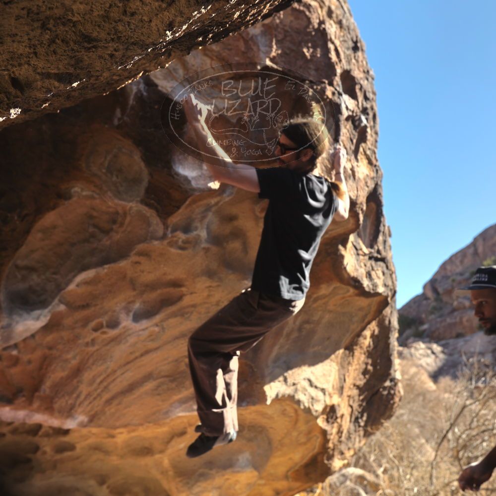 

Filename: SRM_20260117_1127540.jpg
Aperture: f/5.6
Shutter Speed: 1/500
Body: Canon EOS R6
Lens: Canon EF 16-35mm f/2.8 L