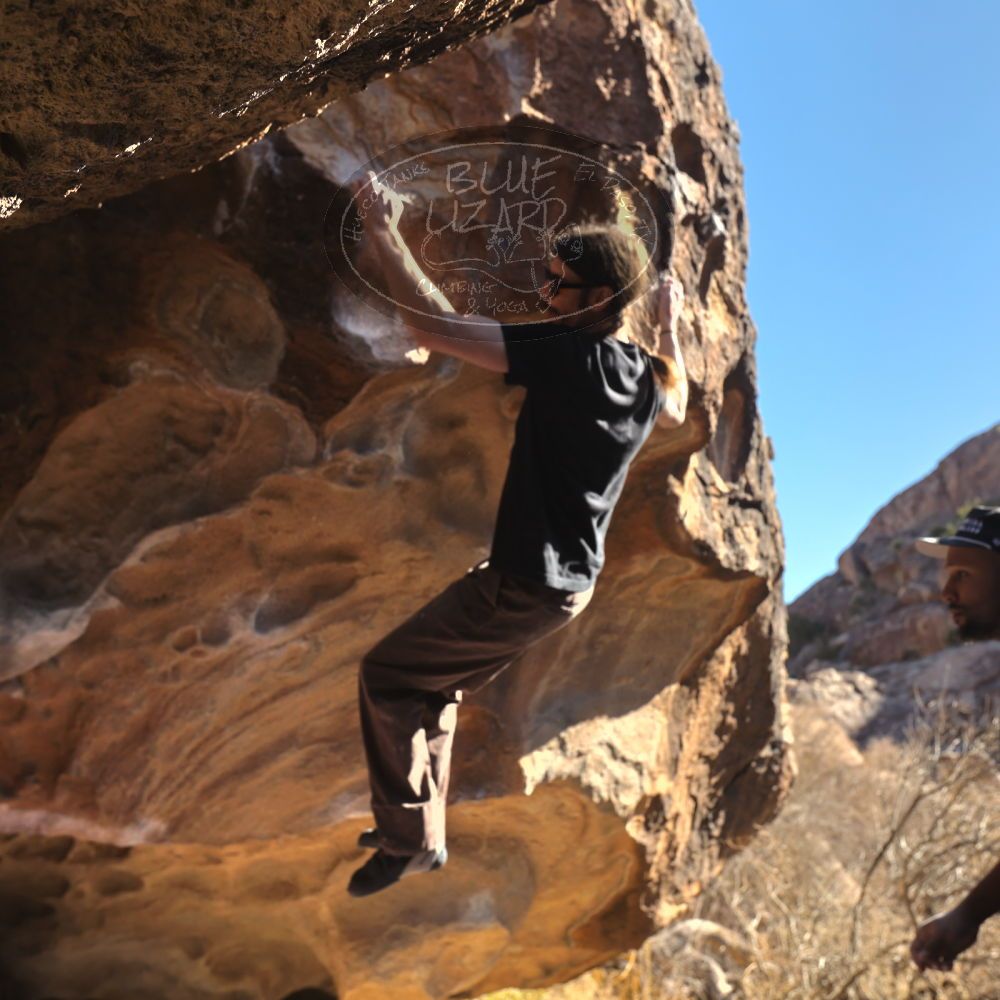 

Filename: SRM_20260117_1127541.jpg
Aperture: f/5.6
Shutter Speed: 1/500
Body: Canon EOS R6
Lens: Canon EF 16-35mm f/2.8 L