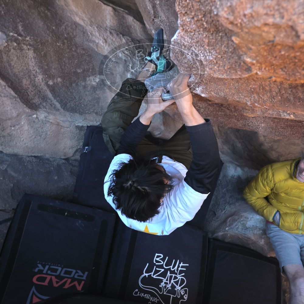 

Filename: SRM_20260117_1412511.jpg
Aperture: f/5.6
Shutter Speed: 1/500
Body: Canon EOS R6
Lens: Canon EF 16-35mm f/2.8 L