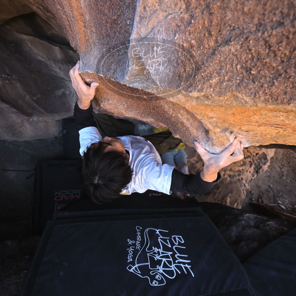 

Filename: SRM_20260117_1413010.jpg
Aperture: f/5.6
Shutter Speed: 1/500
Body: Canon EOS R6
Lens: Canon EF 16-35mm f/2.8 L