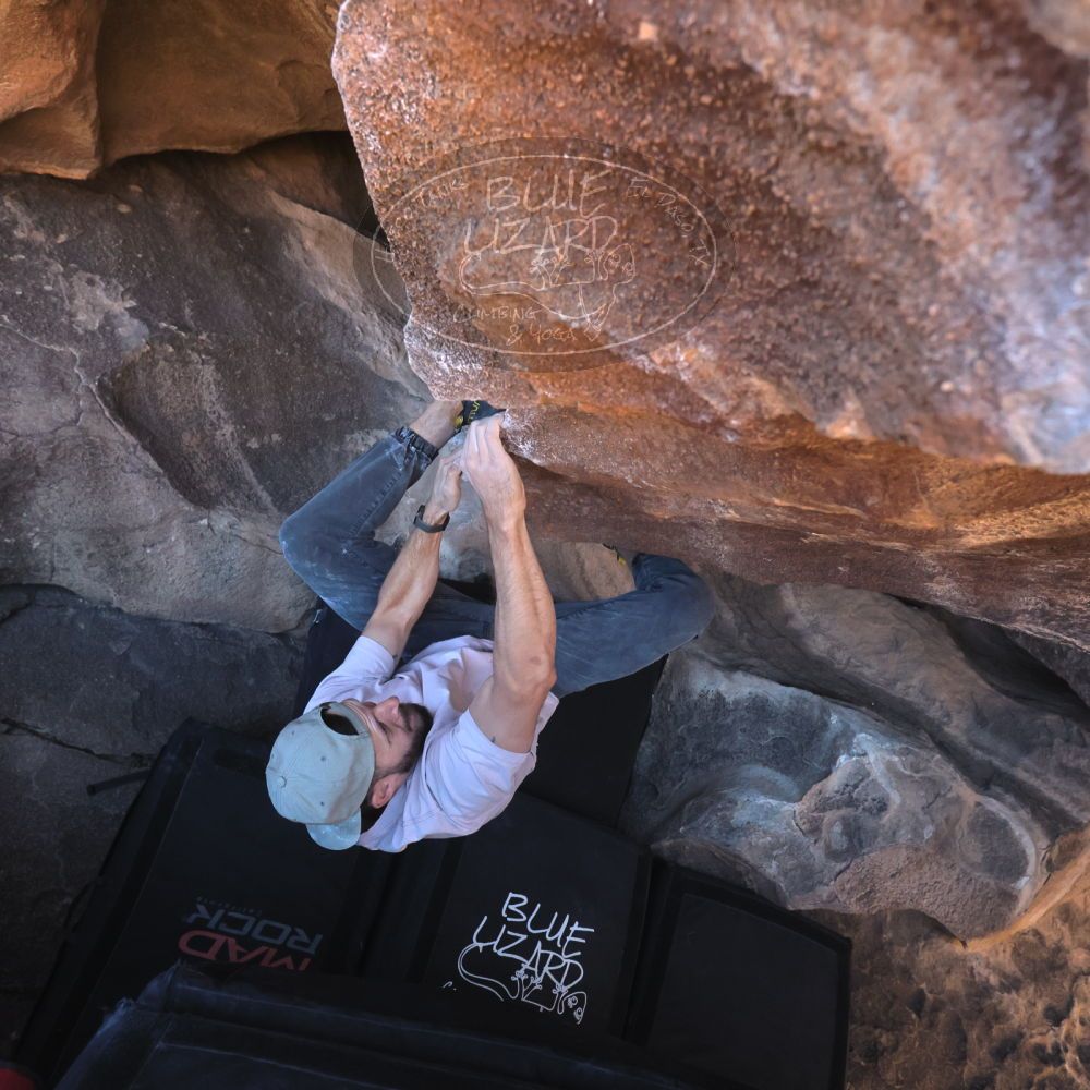 

Filename: SRM_20260117_1433131.jpg
Aperture: f/5.6
Shutter Speed: 1/640
Body: Canon EOS R6
Lens: Canon EF 16-35mm f/2.8 L