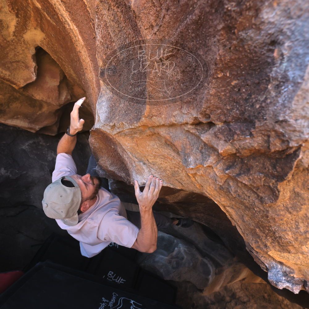 

Filename: SRM_20260117_1433280.jpg
Aperture: f/5.6
Shutter Speed: 1/640
Body: Canon EOS R6
Lens: Canon EF 16-35mm f/2.8 L