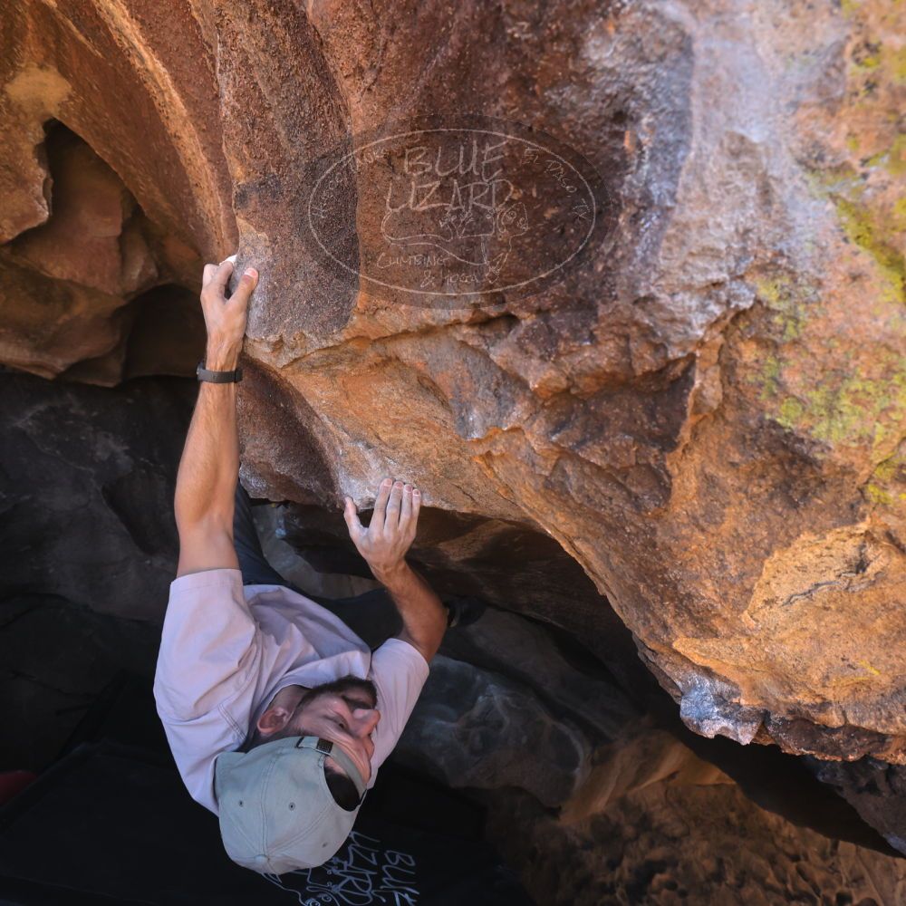 

Filename: SRM_20260117_1433310.jpg
Aperture: f/5.6
Shutter Speed: 1/640
Body: Canon EOS R6
Lens: Canon EF 16-35mm f/2.8 L